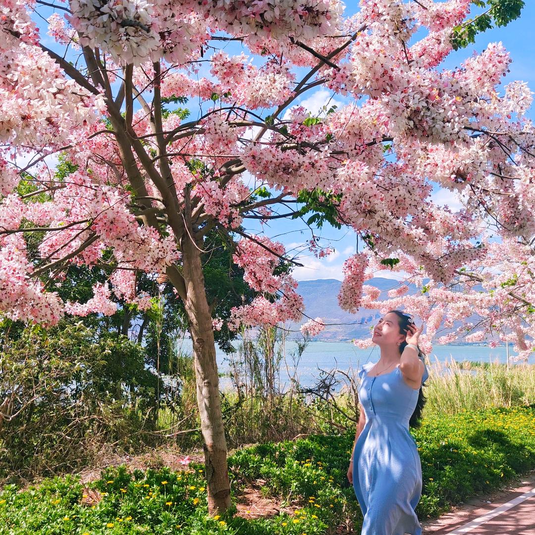 🌻 夏小柒