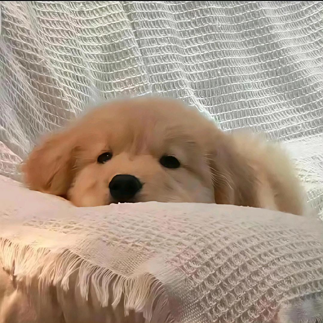 拧螺丝主理人
