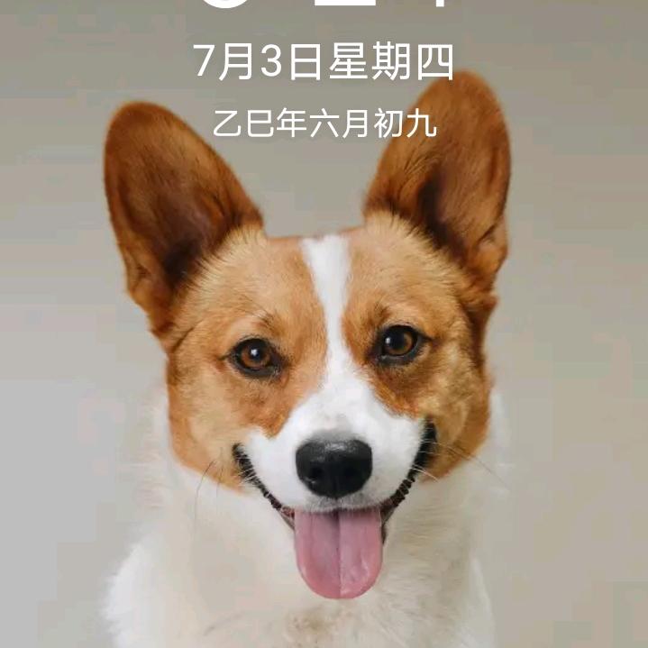 小开心