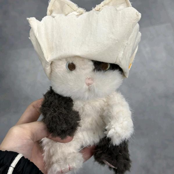 忧郁的女士和她的鼠鼠