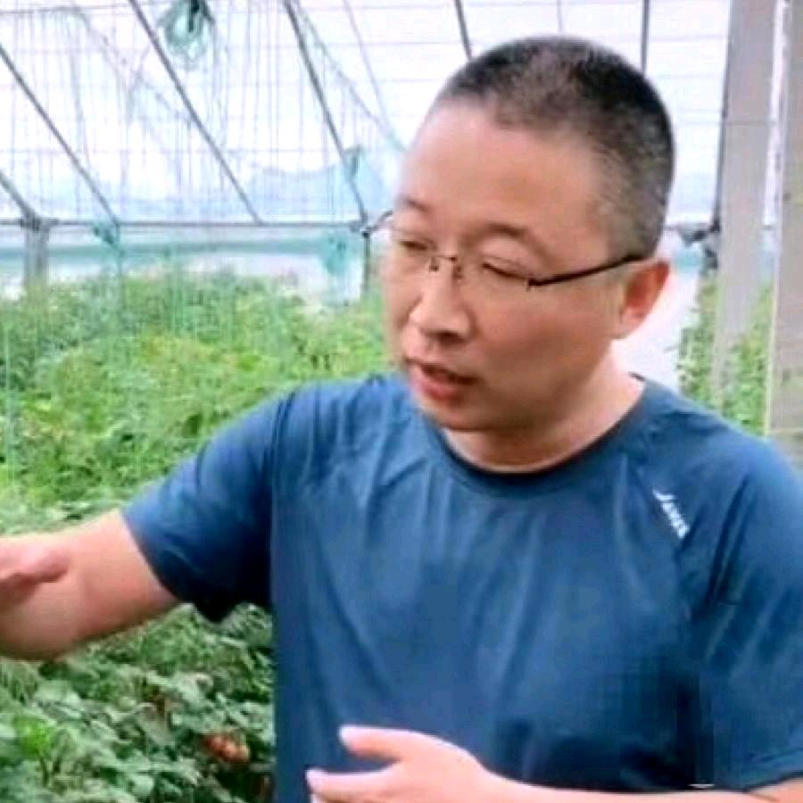 小番茄种植 之《归源农法管理》