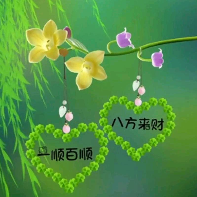 顺财姐