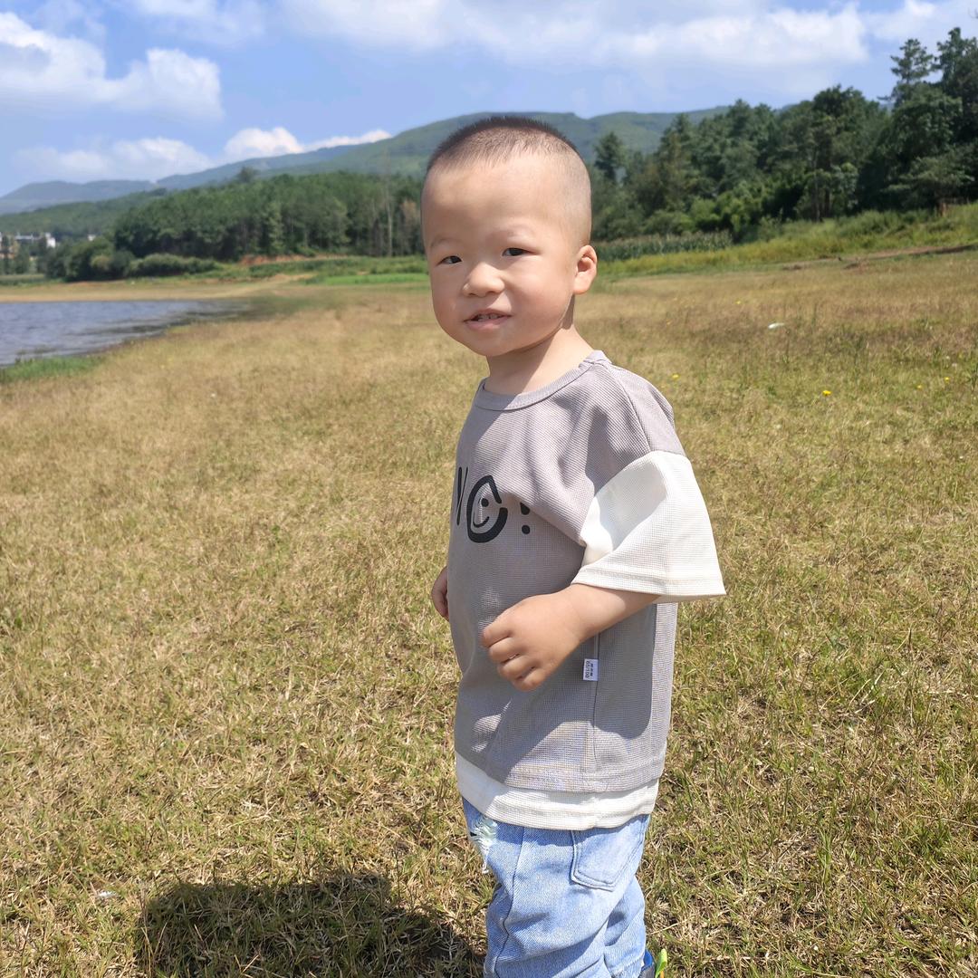 是他