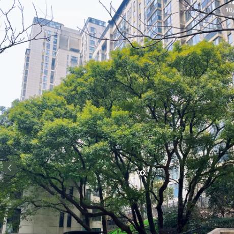 长沙加班探盘