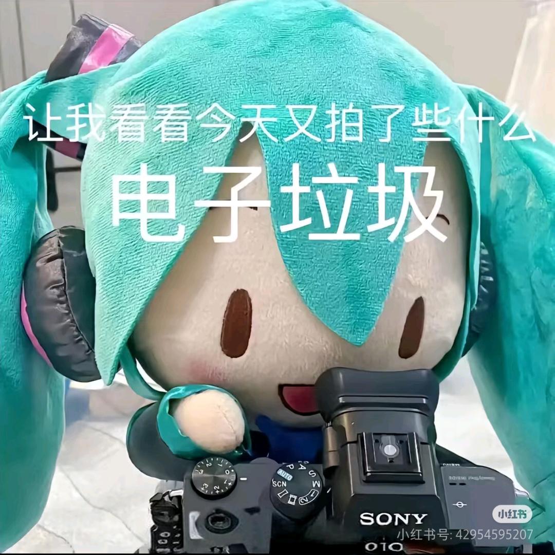 没电没电没