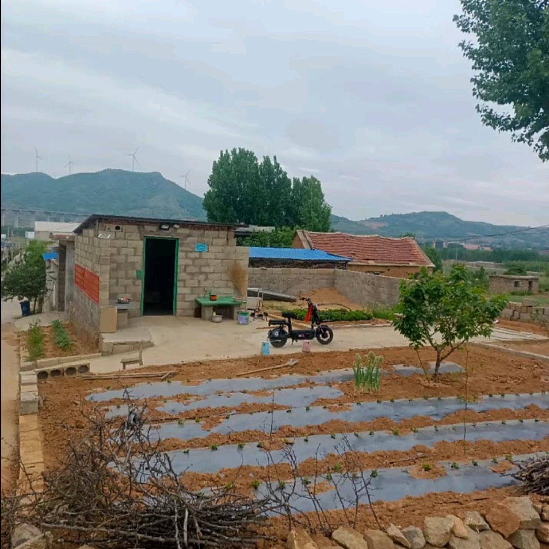 贾勇专业打印店