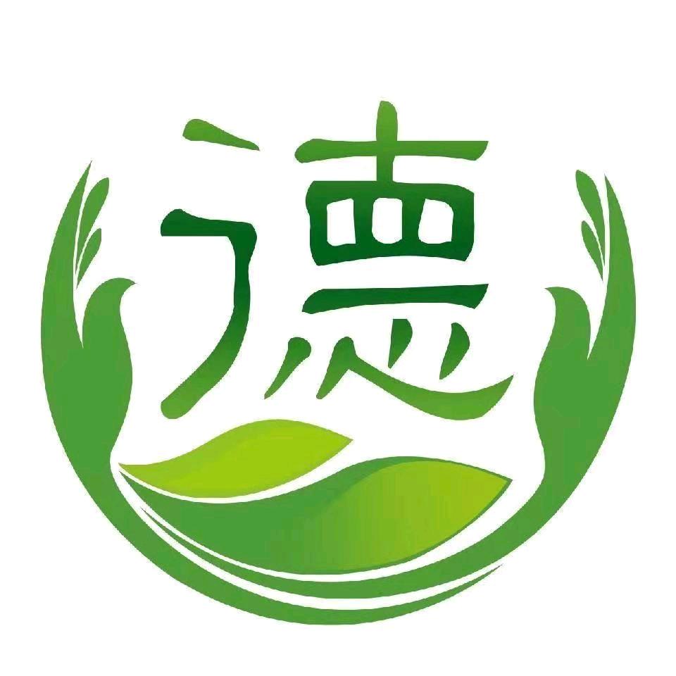 心向陽光