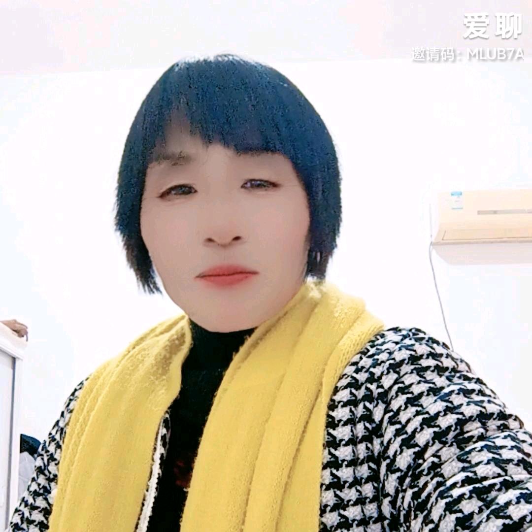 赵姐拍车