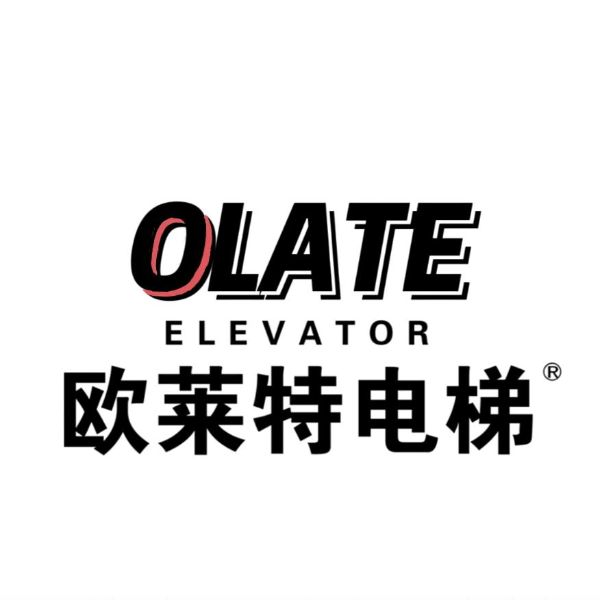 欧莱特别墅电梯