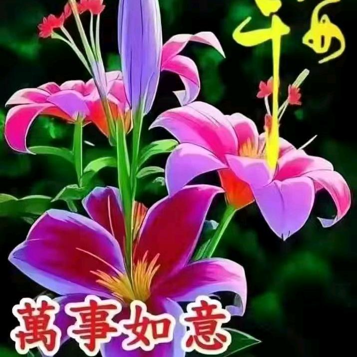 ❤️ 健康快乐🌸