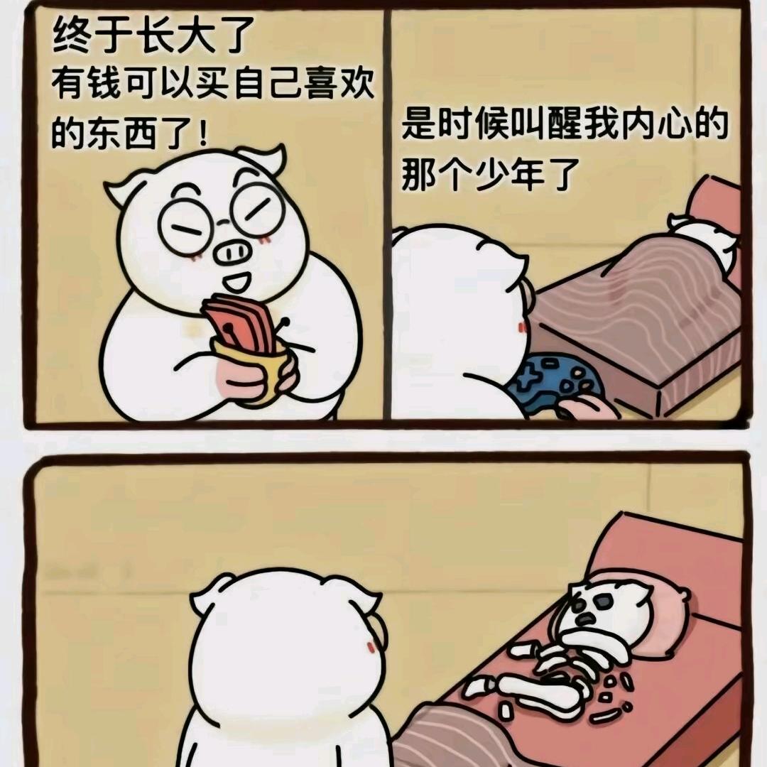 齿轮