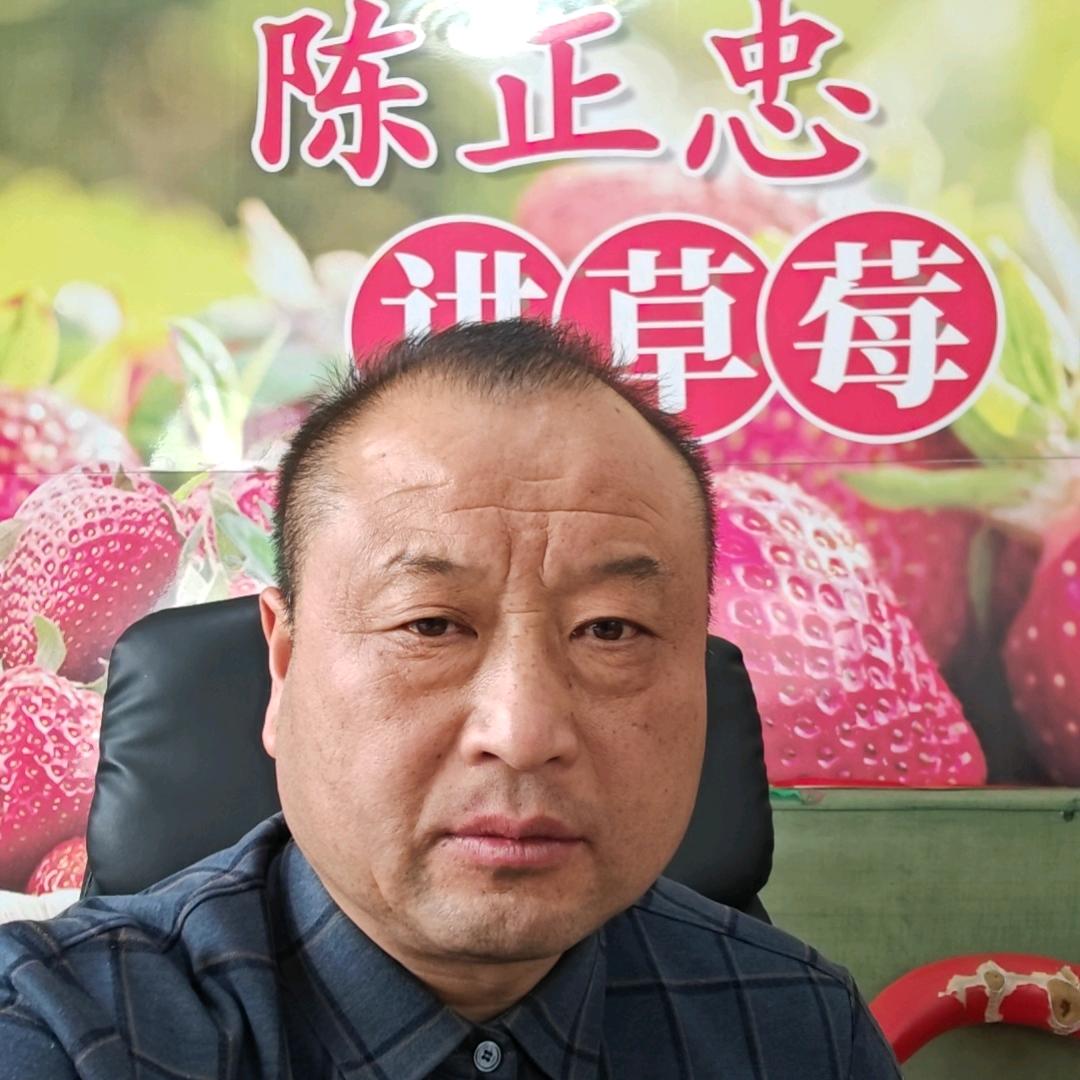 陈正忠讲草莓