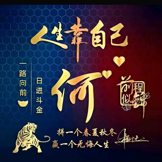 🧚‍♂️何少💐