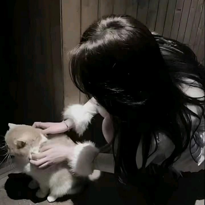 *鲶縞*灬👓