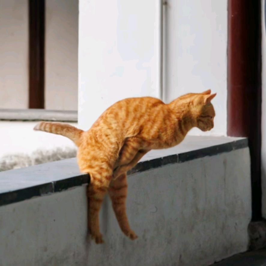 万我