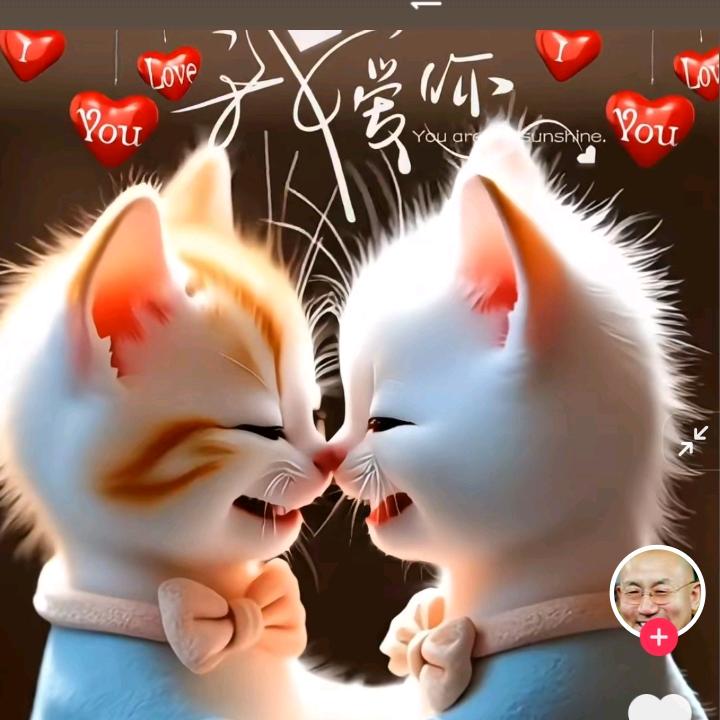 用户1037988961323