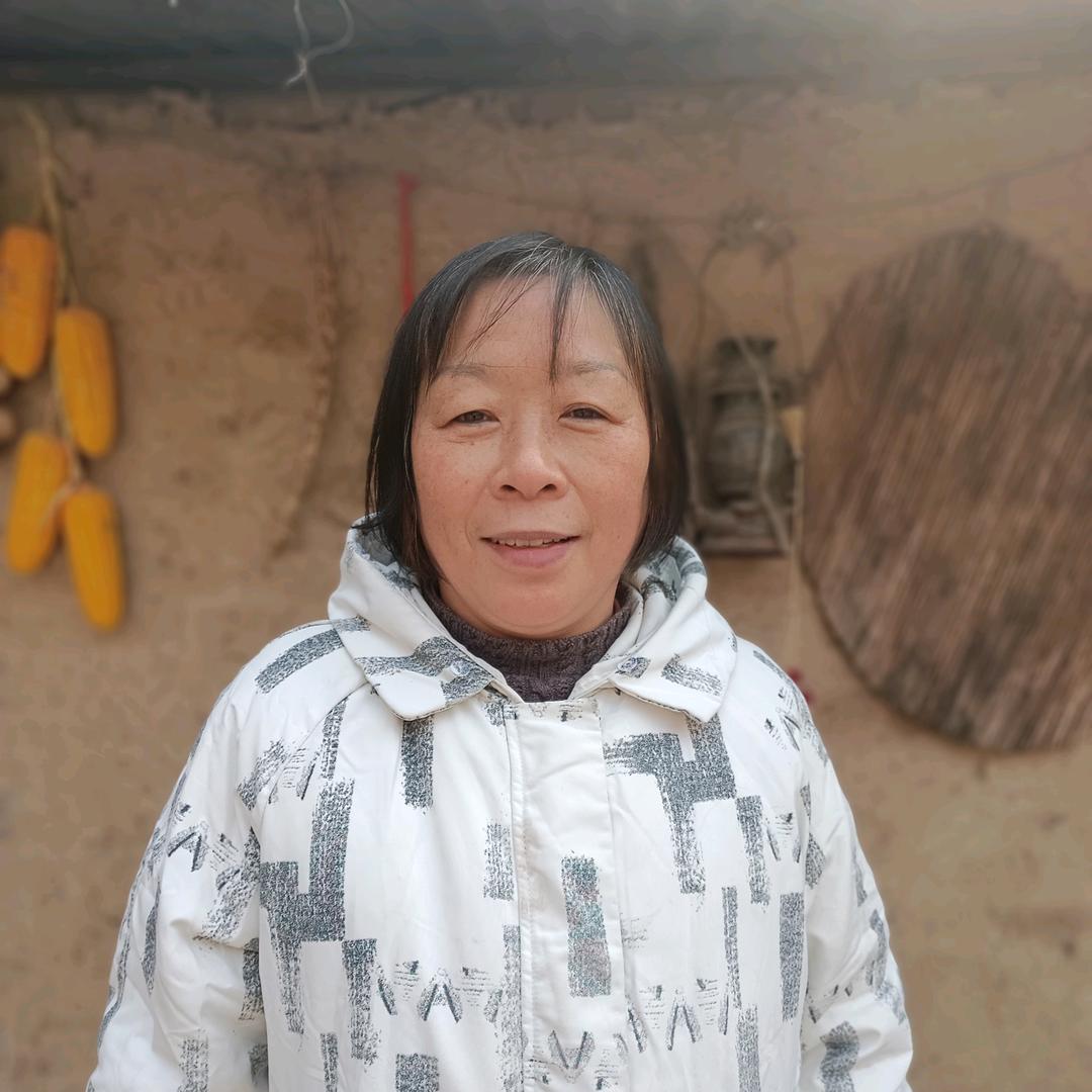 南阳凤姐（首播筹备中）