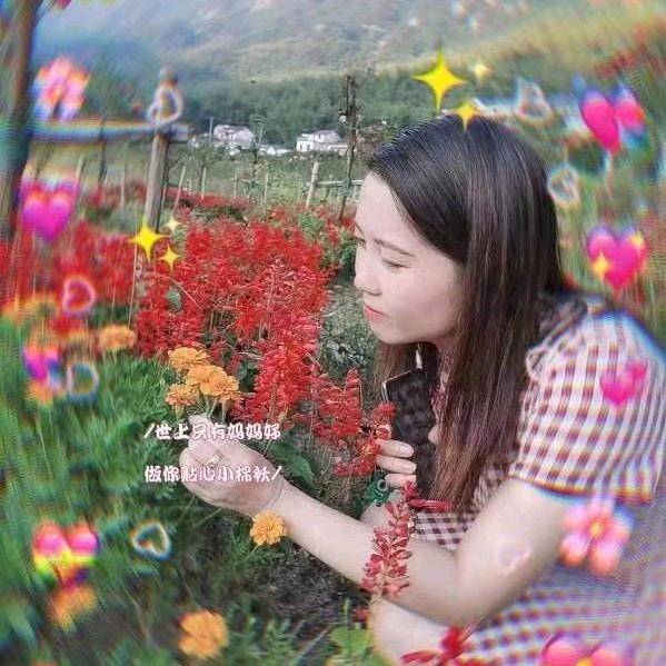 春风不识路
