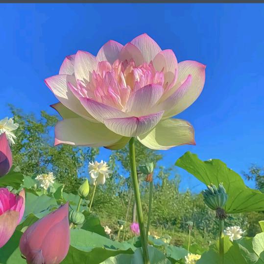 💓全💗家💖幸💝福💞