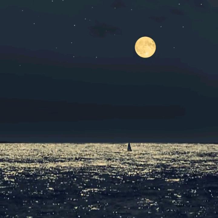 不想认命，就要拼命