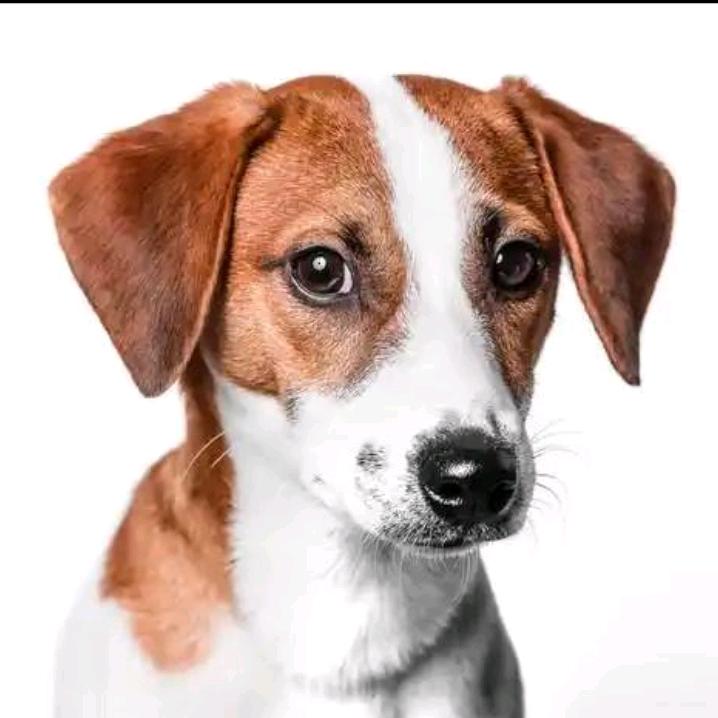 暴影暴室