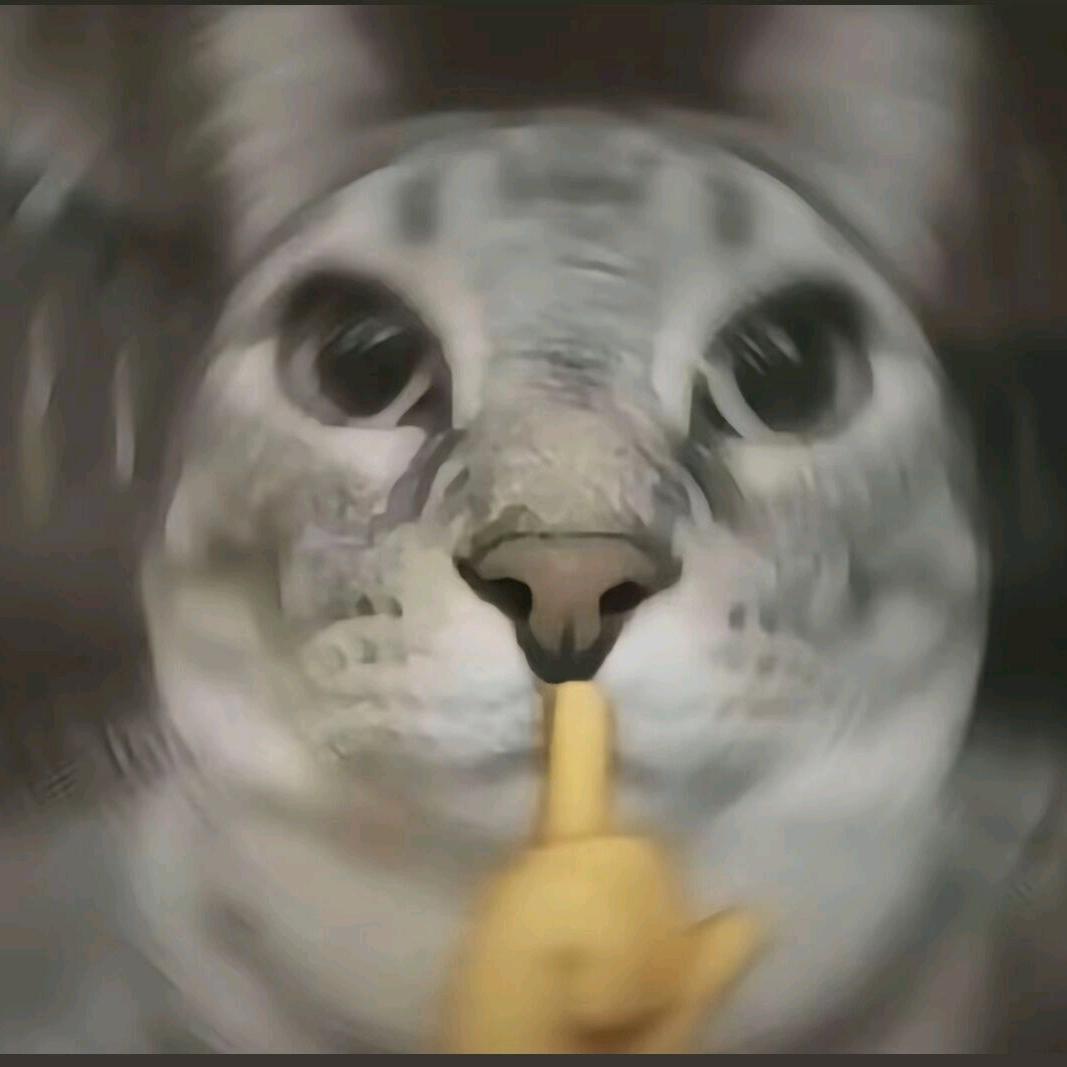 颉蓑