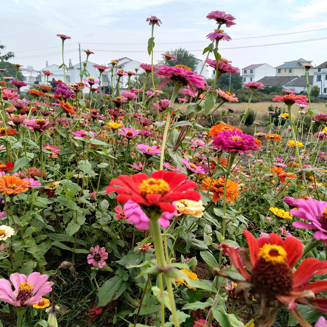 快乐过好每一天