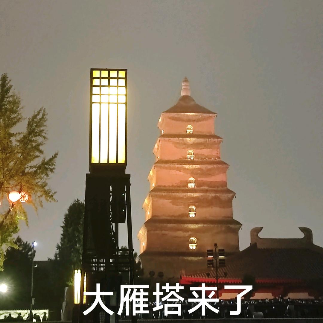 知识产权相关服务