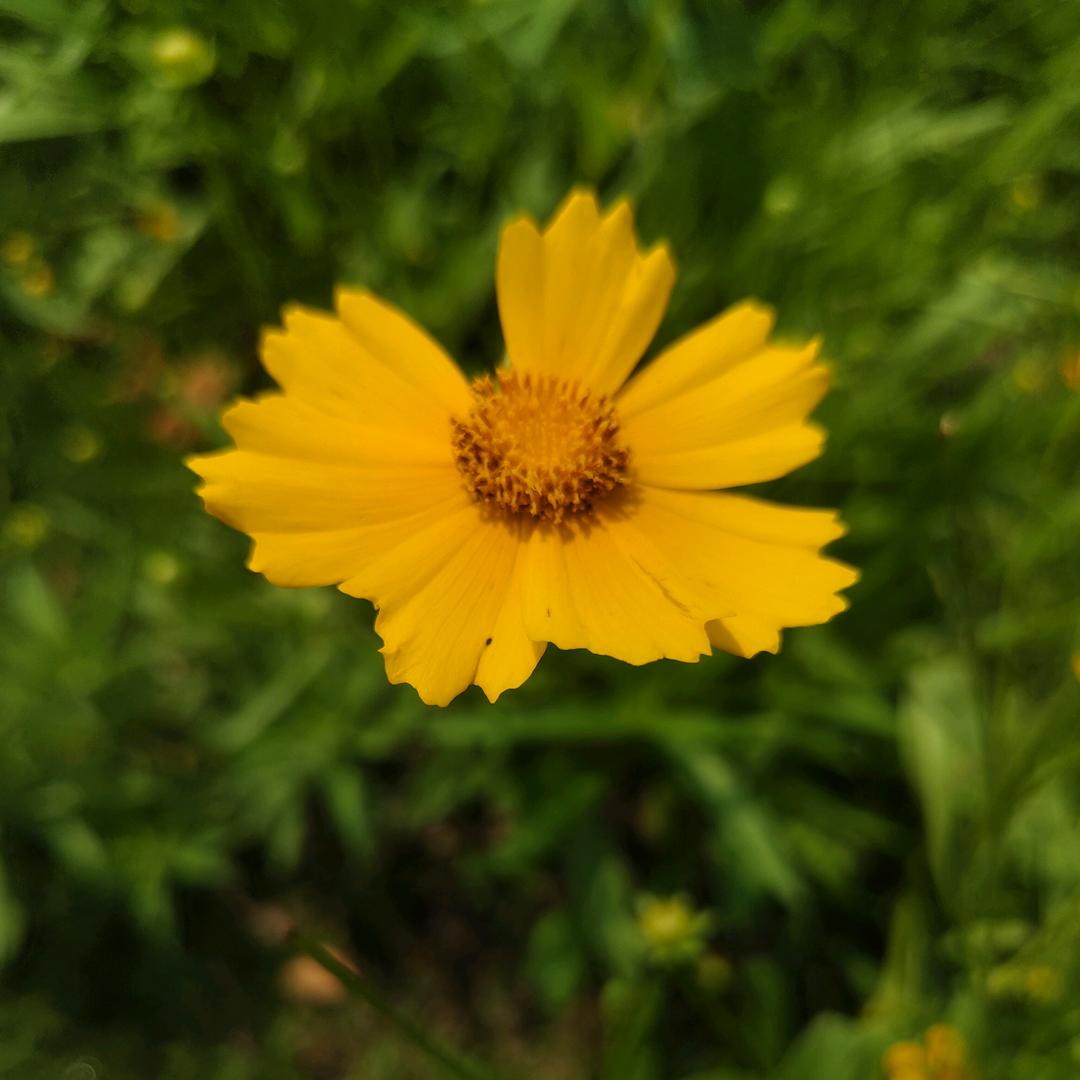 💞᭄往事清零এ🌺