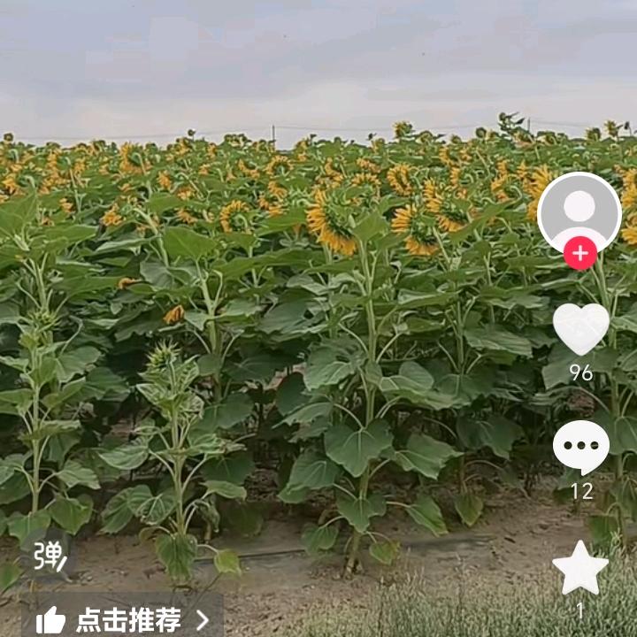 热情豪进礼貌退场，