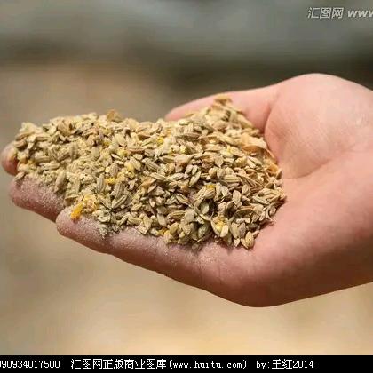 辽河刍秣