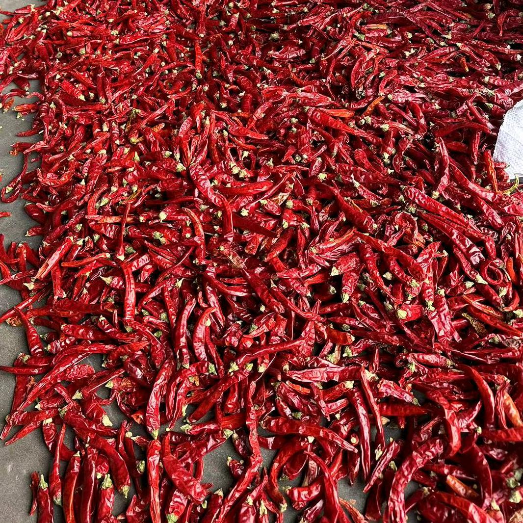 吕建超--国产高辣