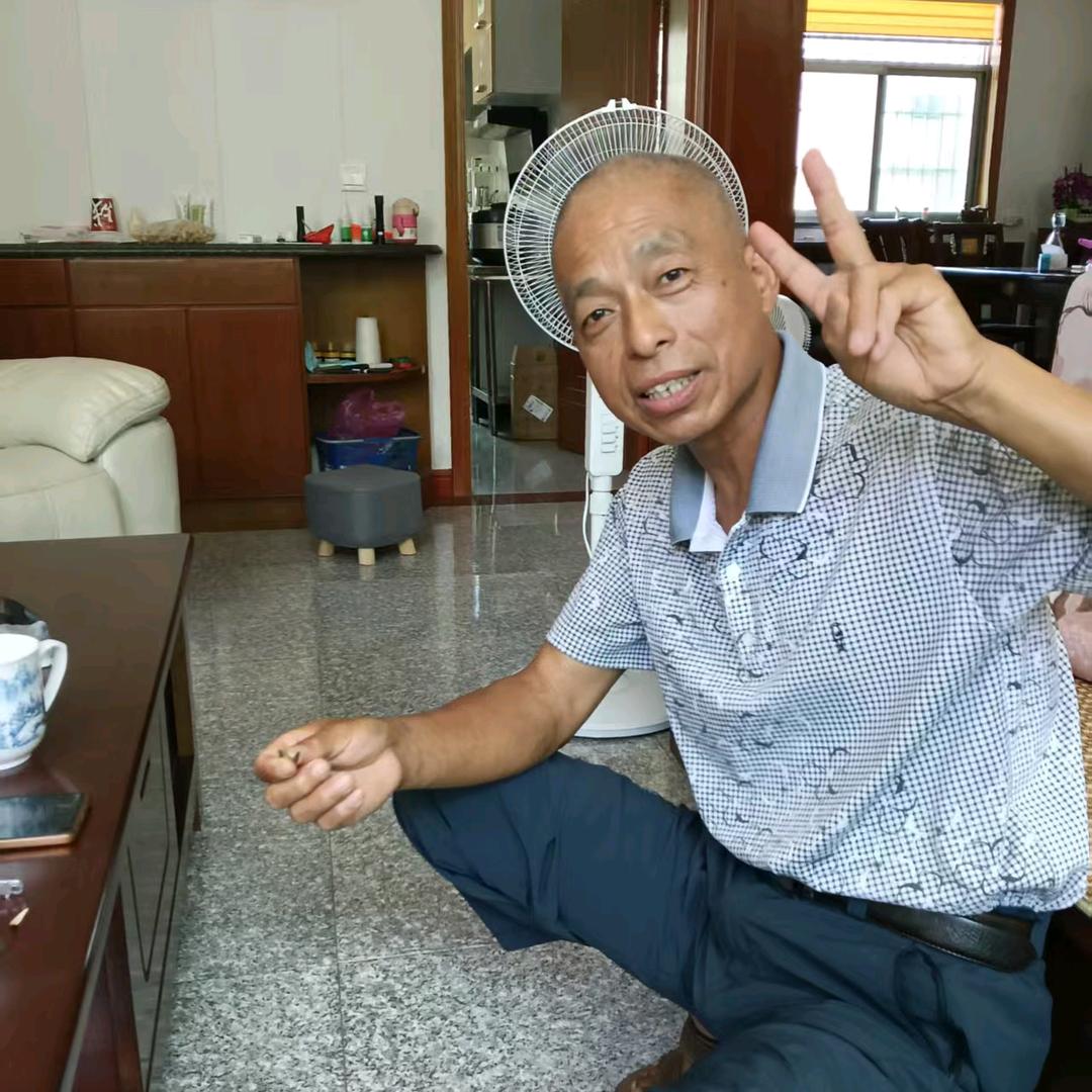 龙的传人