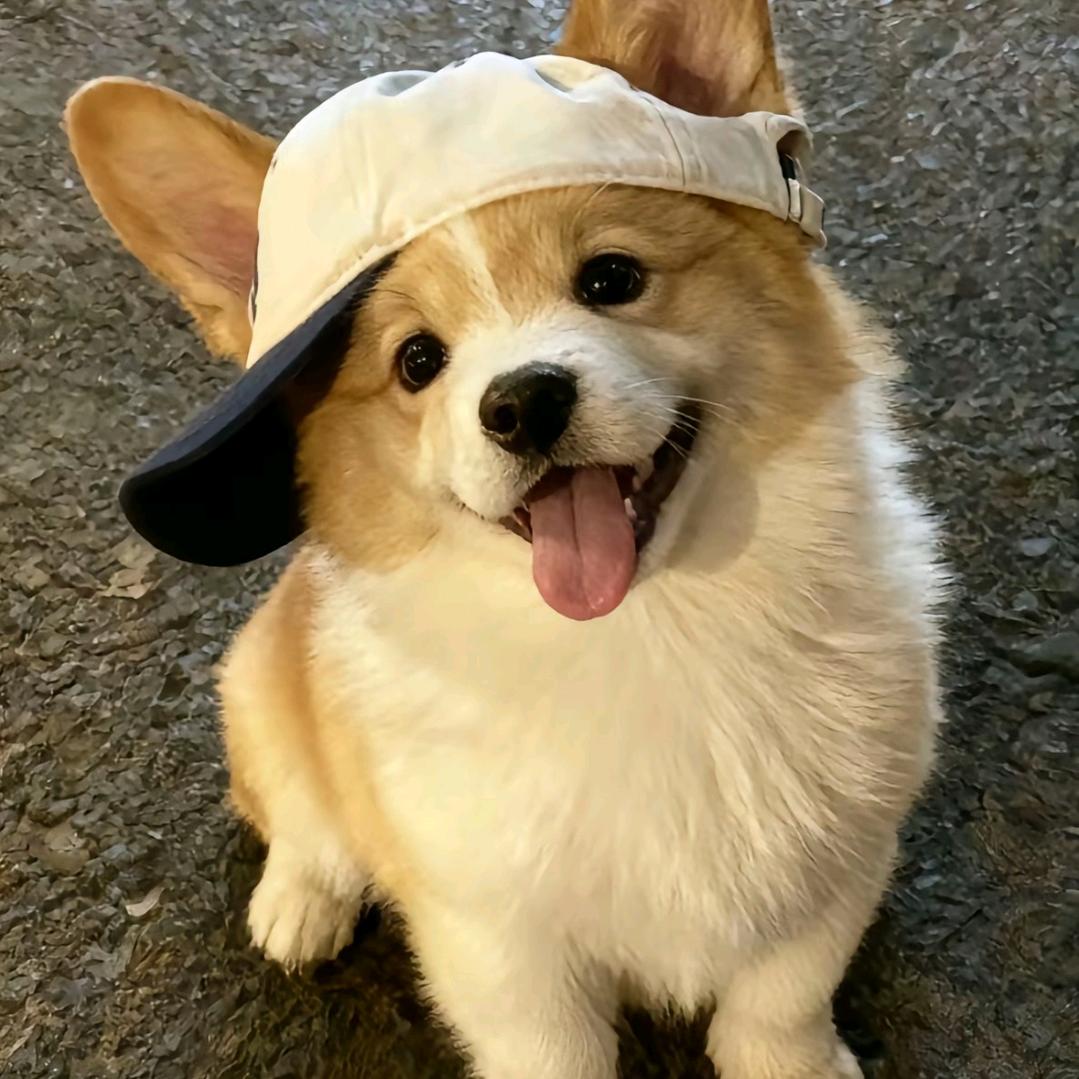 祝好.