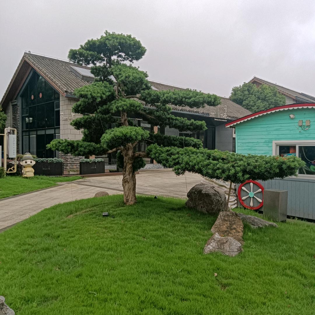 大哥头像