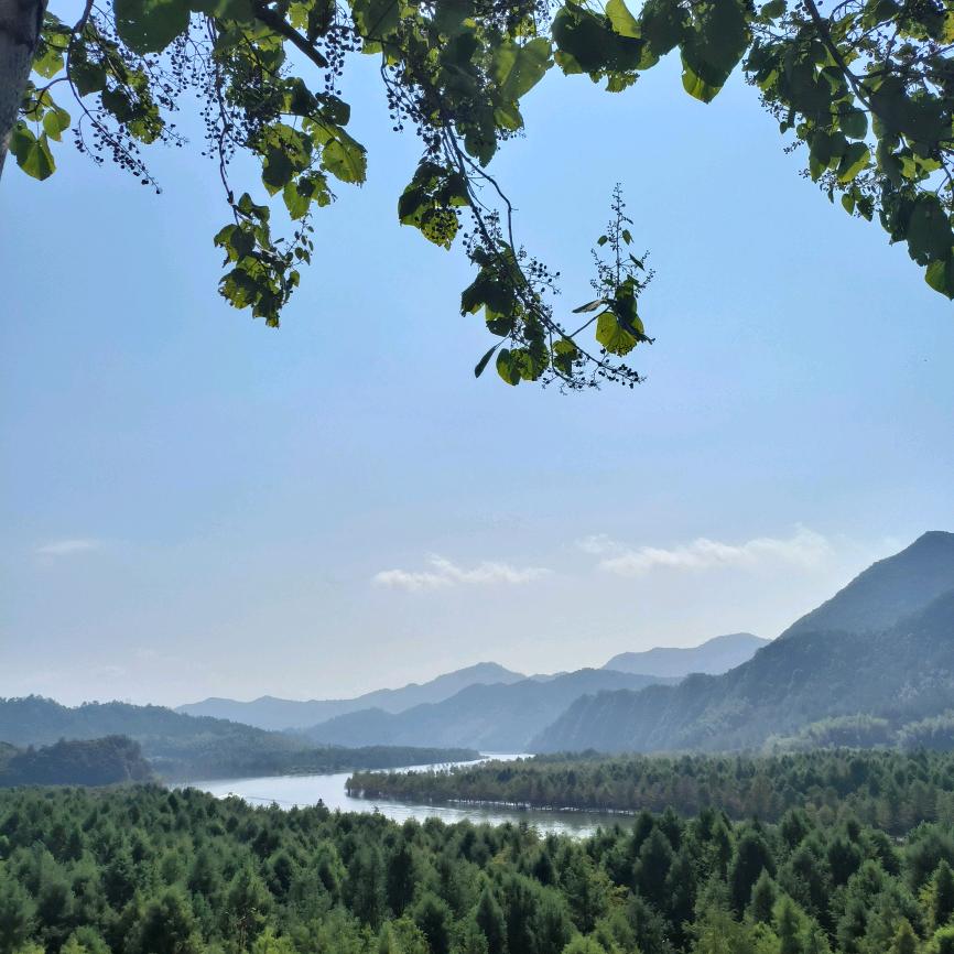 花生香满小日子