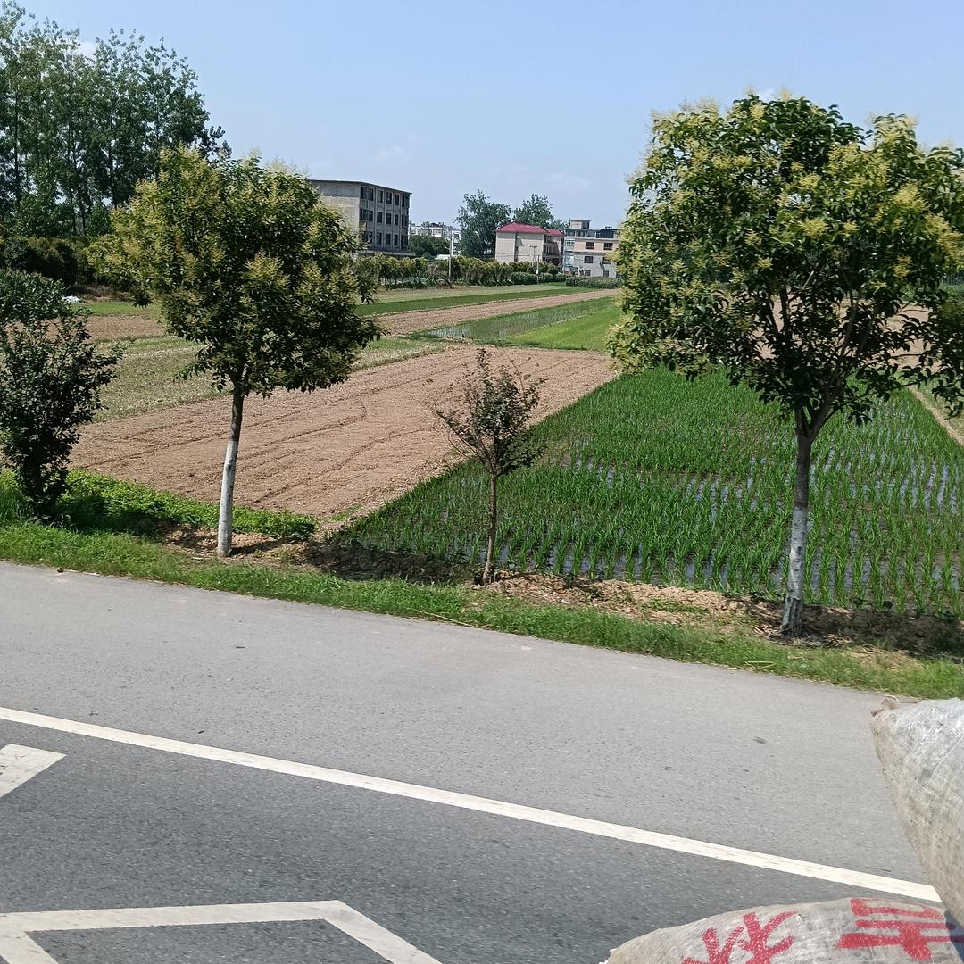 蔡运芝
