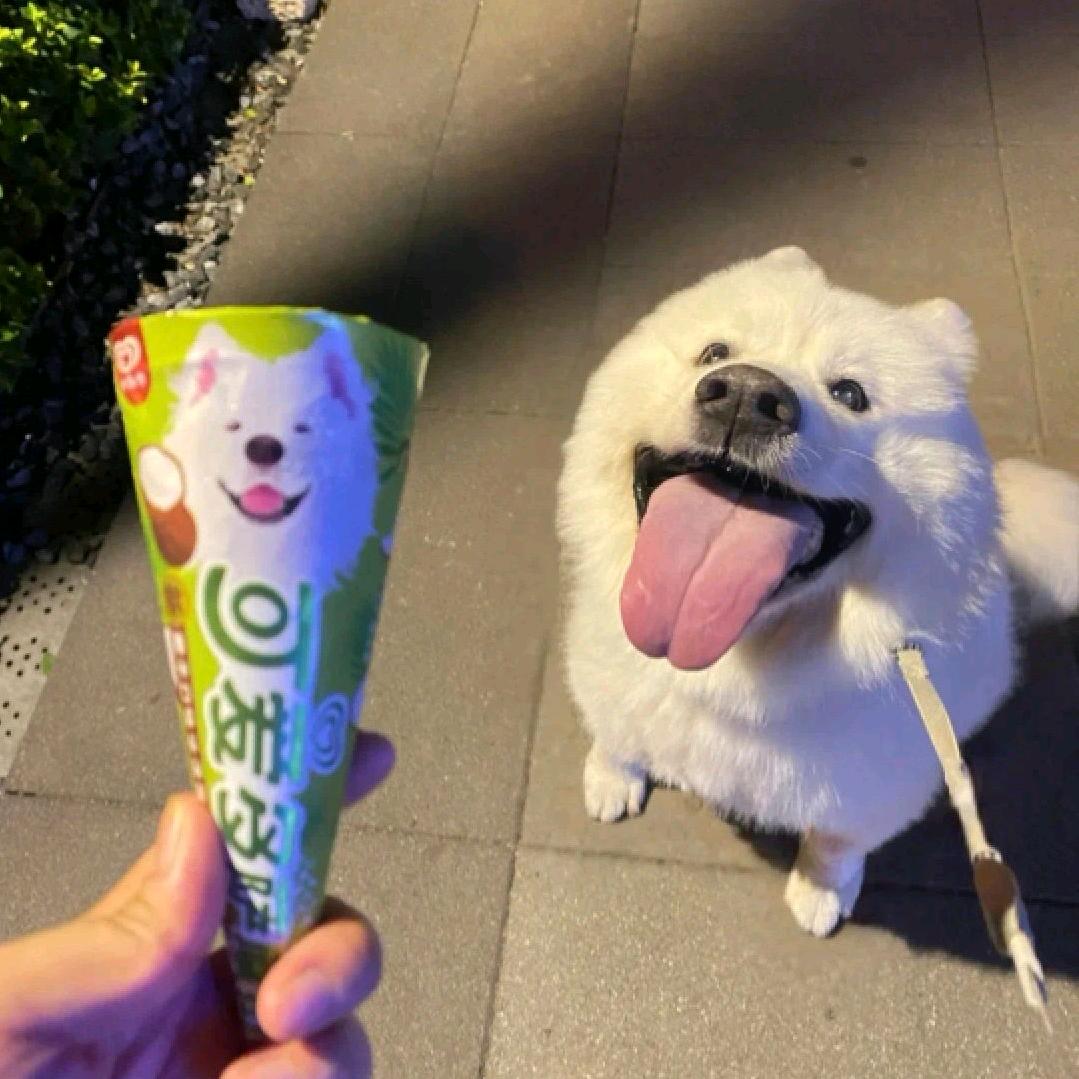 可乐罐罐