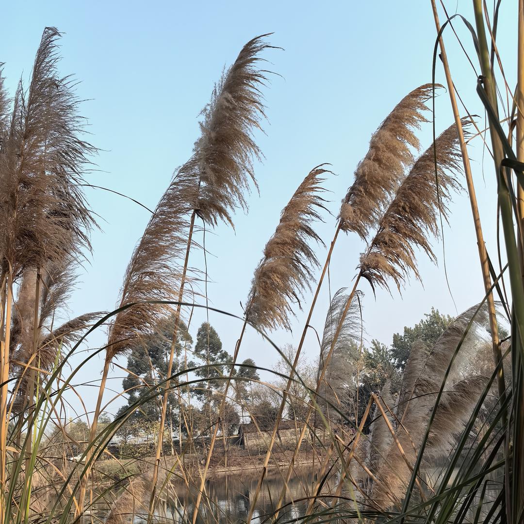 万同学