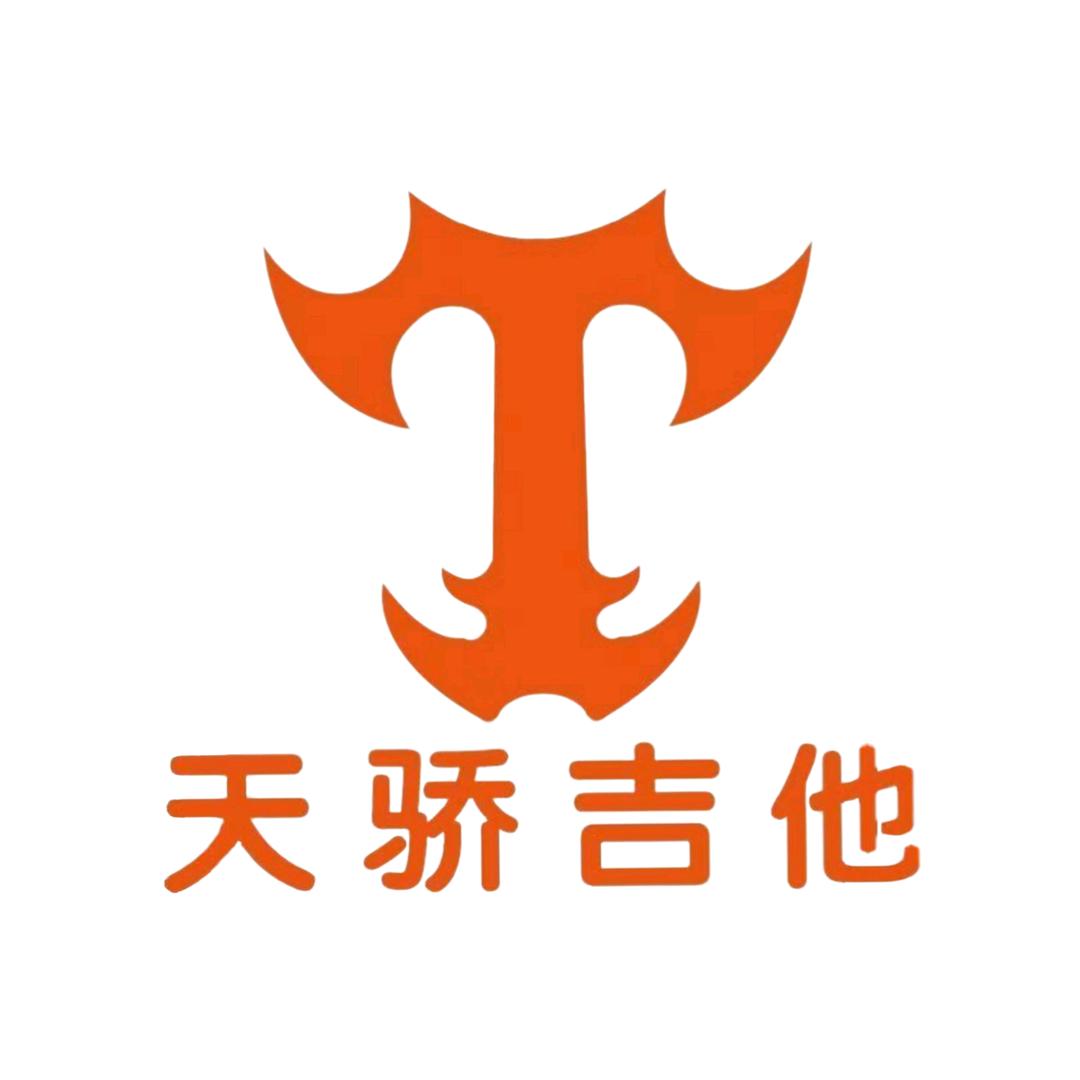 TJ吉他乐器企业店