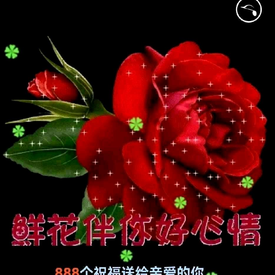 独宠久伴