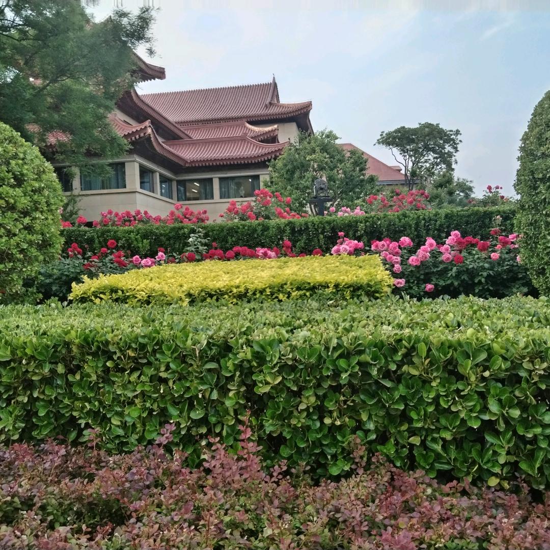 如意
