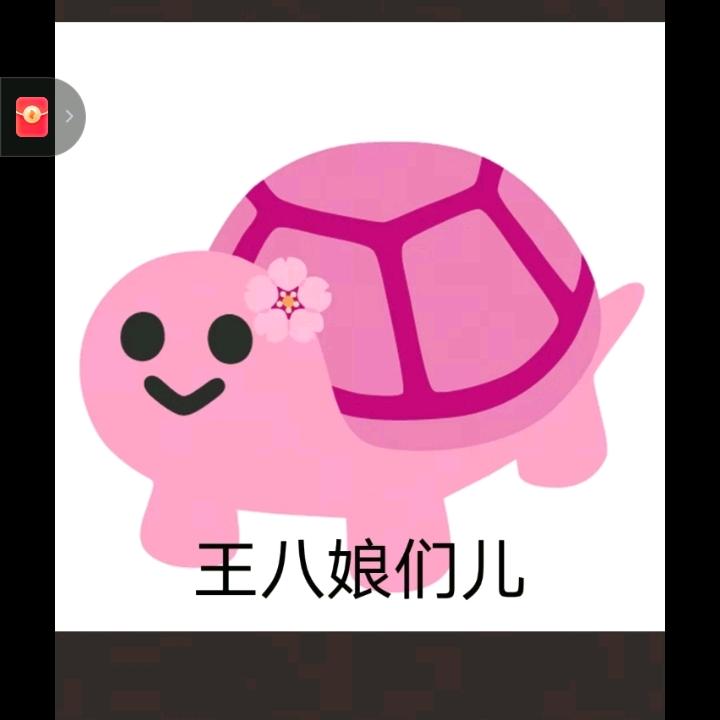 小龟
