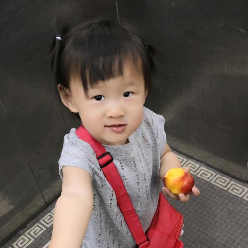 🌸🍀🌸🍀🌹🌸🌷