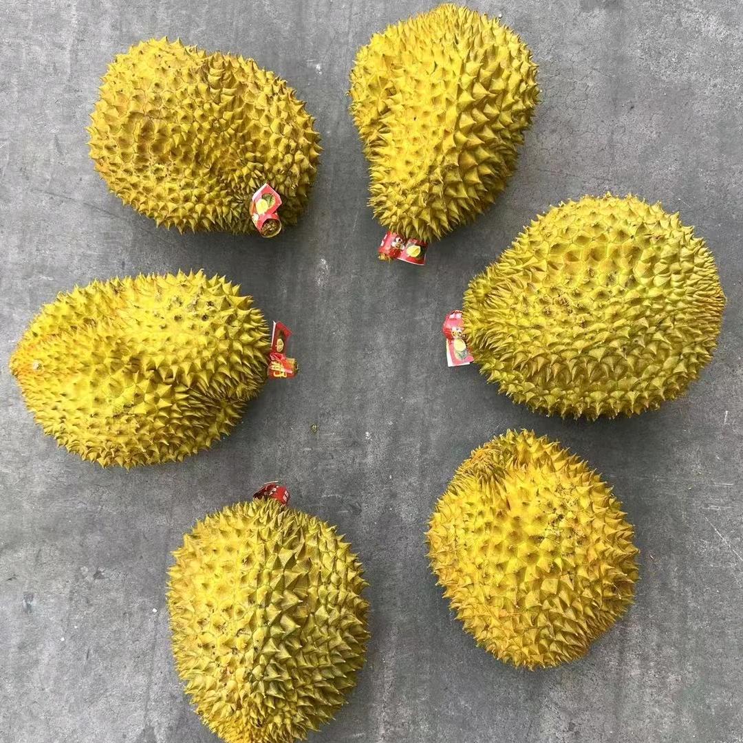 果之源果行