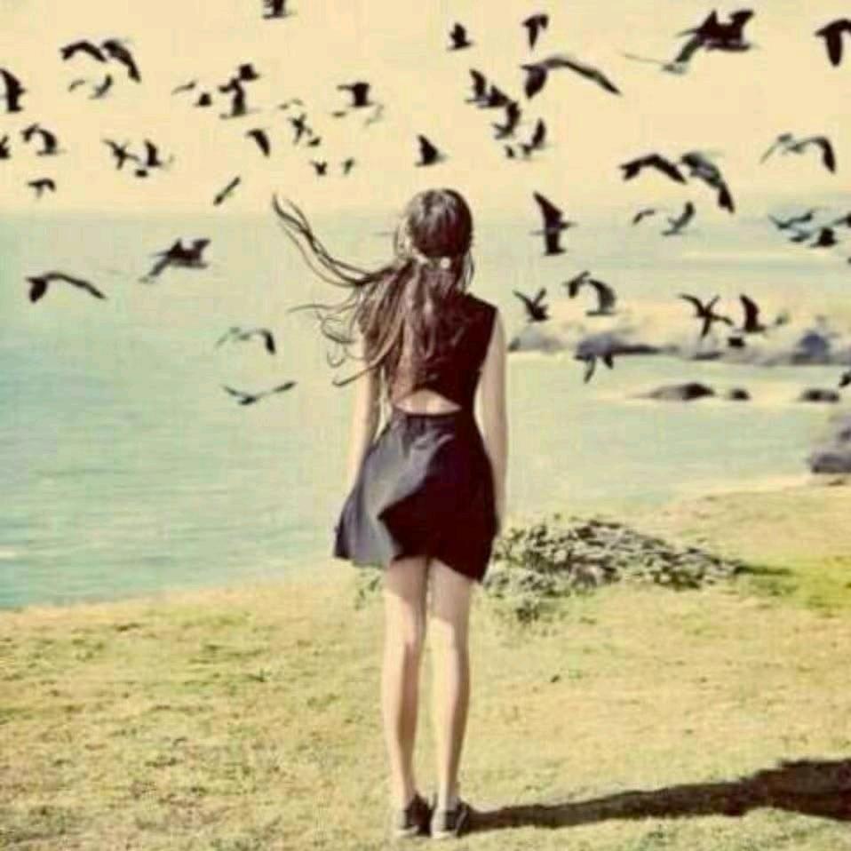 卖房子的大芝芝呀