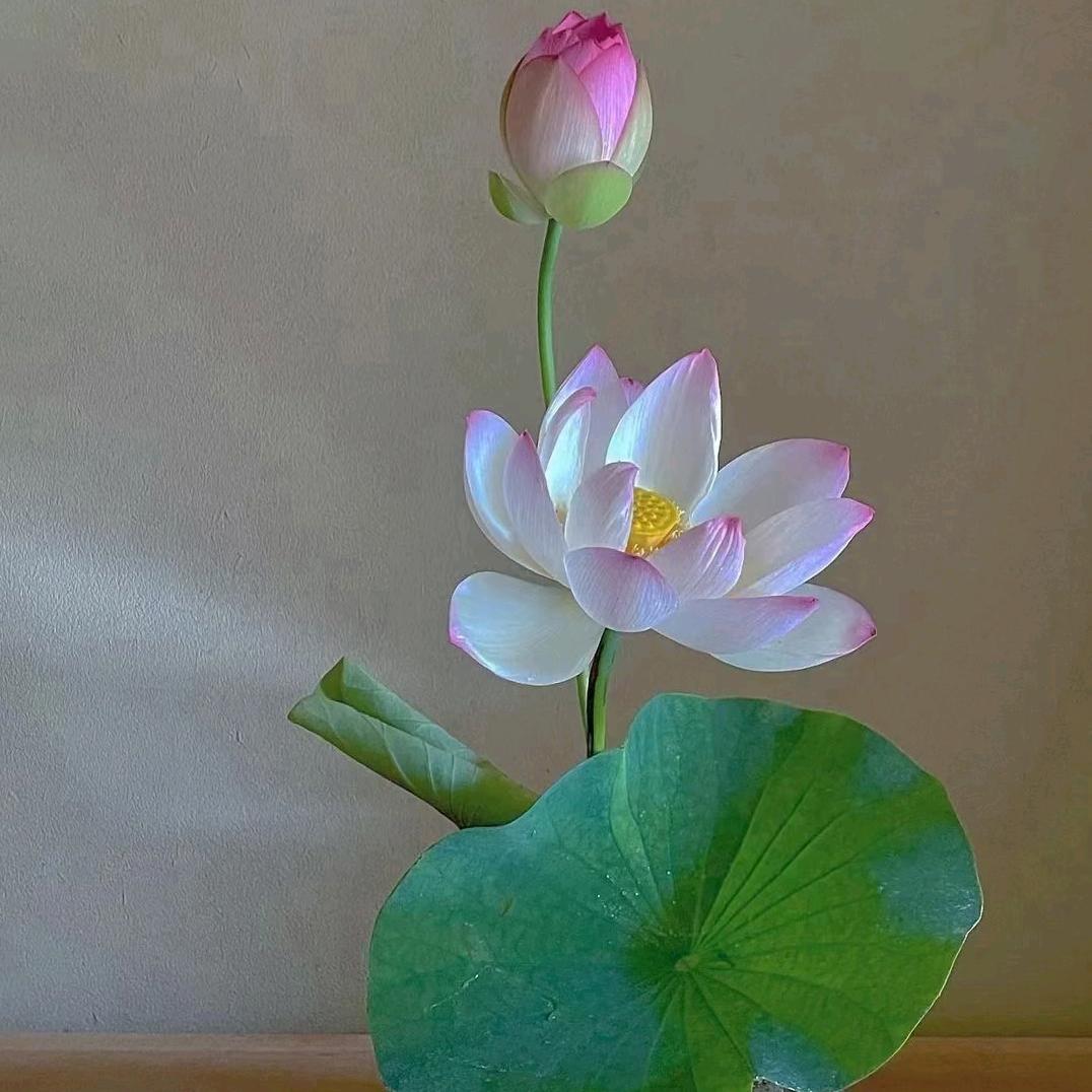 顺其自然。