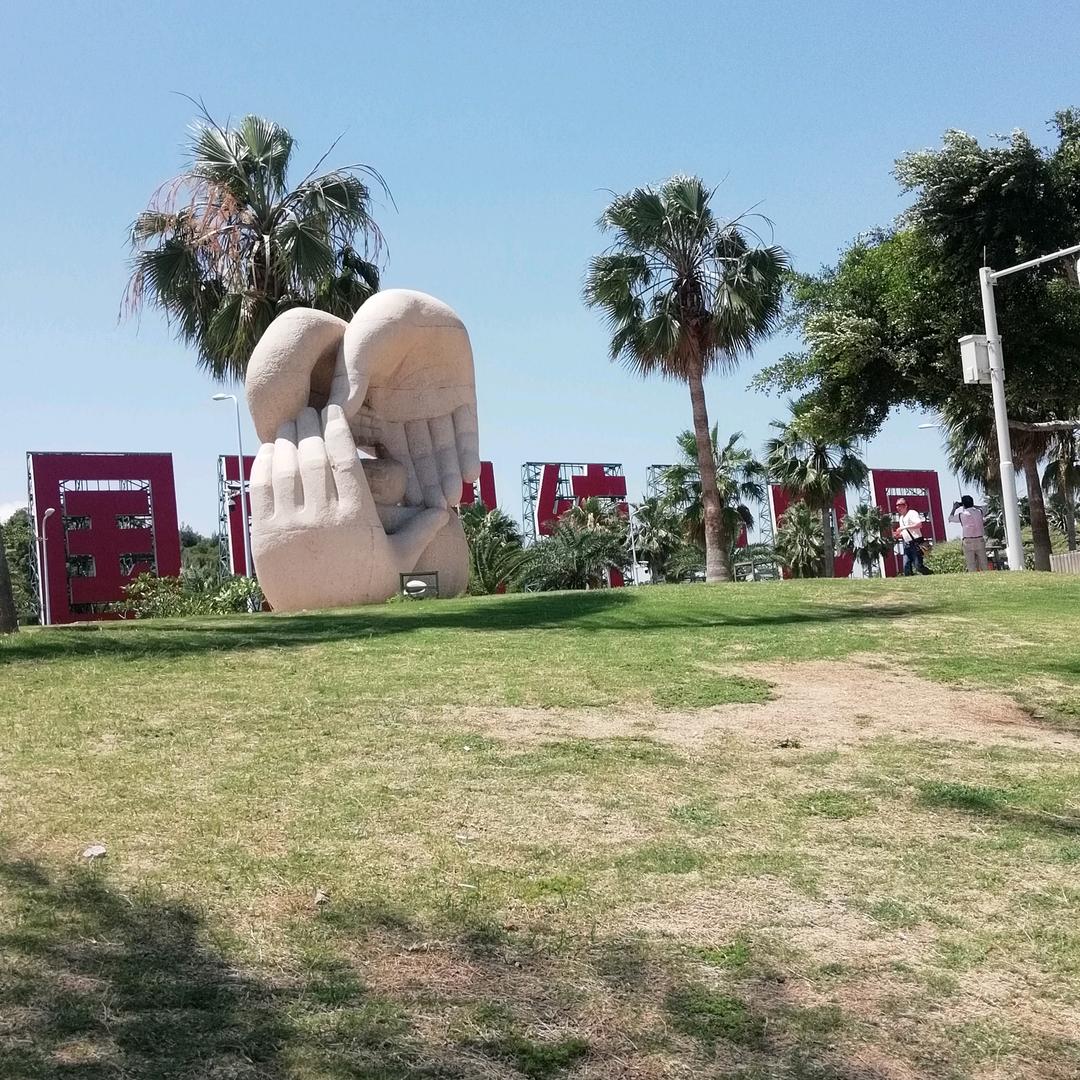 艾服了油