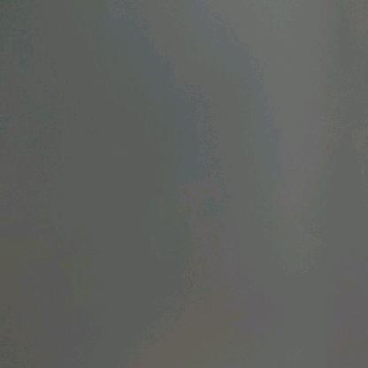 ｡･ω･｡