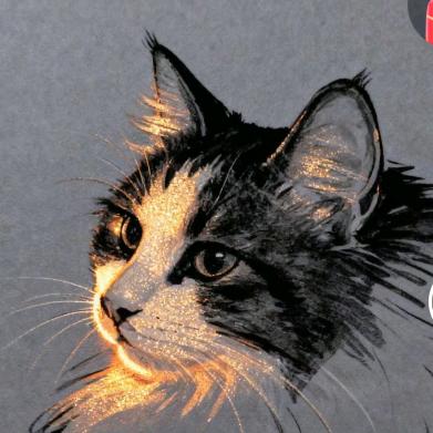 🐾ᐝ ҈̵̇̊́̈́̄͊Ma͗́̚҉͗ᐝ